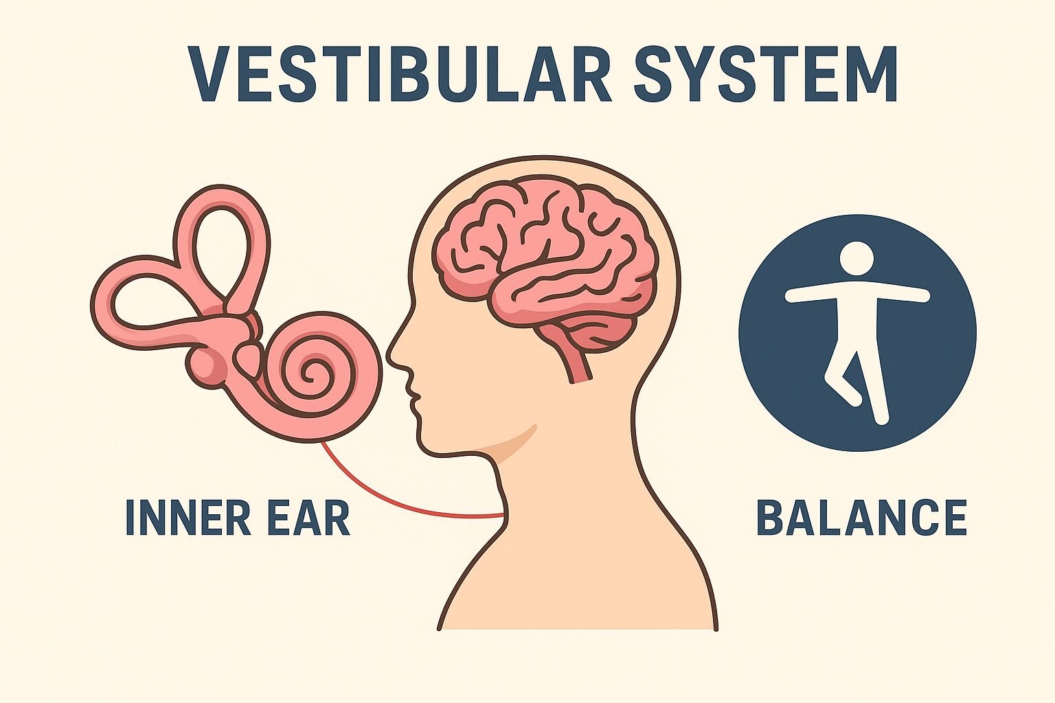 Physiotherapist helping patient with vestibular and balance therapy exercises